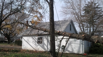 Emergency Tree Service Photo