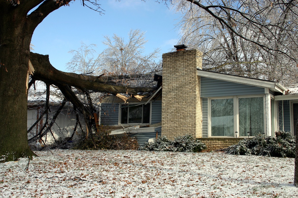 Fallen Tree on Collegeville Home's Roof