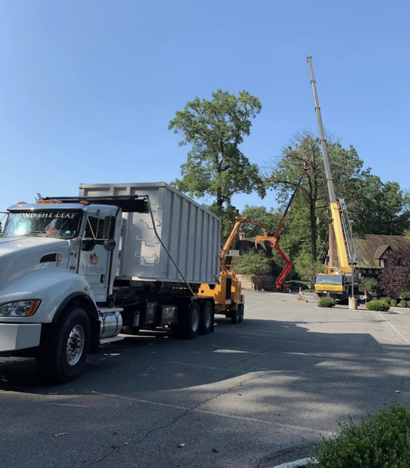Crane for Tree Removal in Doylestown