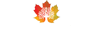 Beyond the Leaf Tree and Shrub Experts LLC