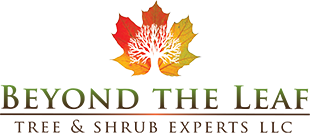 Beyond the Leaf Tree and Shrub Experts LLC